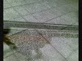 Marlin 925 22lr rifle