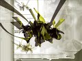 ValkyR - Kill yourself