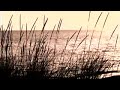 Wu Ming 4 - Stella del mattino - booktrailer