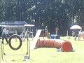 DVM 2008, 3. Lauf Coesfeld DVM 2008, 3. Lauf Coesfeld