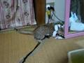 さくら水産動画7
