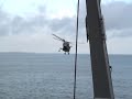 Lynx fly by