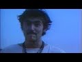 hladno pivo - buba svabe
