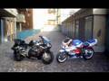 Foto v�deo