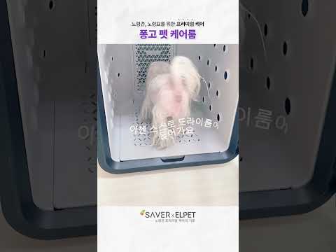 아직도 드라이기와 전쟁하고 계신가요?