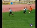 videos de pollegivesss 1-2