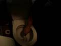 l'histoire de la brosse de toilettes