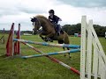 Contest Entry LuluHorseCrazy Round 1