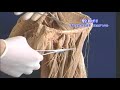 nervous system anatomy5 nervous system anatomy5