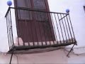 desalojo vecinos cuesta marañas 10  albayzin granada 