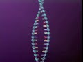 DNA MUTATION