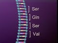 DNA MUTATION DNA MUTATION