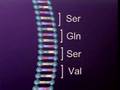 DNA MUTATION