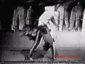 Ver Video