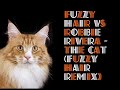 Fuzzy Hair Vs Robbie Rivera - The Cat (Fuzzy Hair Remix) Manele-Gratis.net