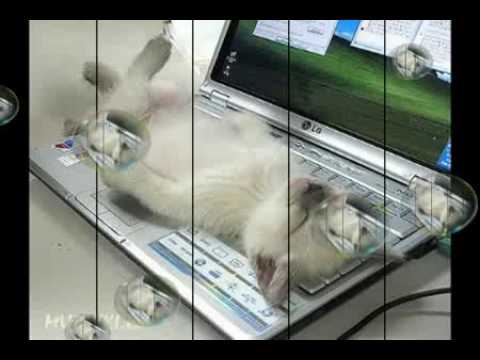 See video