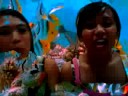 swimming with Fishies part two