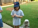 Mentos Volcano Part 2