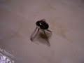 Itty Bitty vibrobot 1