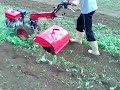 Click here to watch this video MICRO KAWASHIMA CANTEIRO 8