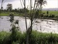 Samaná Peninsula, Dominican Republic (Mystique ...