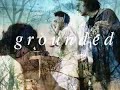 Botany Bay - Grounded