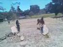 Chief- meet trotting poles.