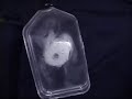 Rotating Flask in Microgravity