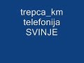 trepca-km telefonija Srbija svinje
