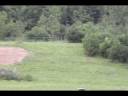Monster Buck.wmv Monster Buck.wmv