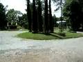videos de mad english man in drug rehab thailand