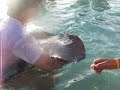 Stingray Paradise San Andres Colombia
