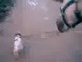 Kazaam y Santino andando