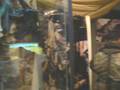 videos de Expo Airsoft 2008 Chile