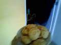videos de Haciendo galletas cn lentejas (parte 4)