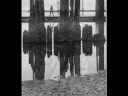 Art of Photography - Wynn Bullock