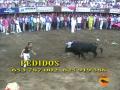 CABECERA TODO TOROS 09