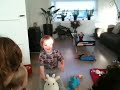 Tijm op koe