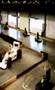 gocart nyköping