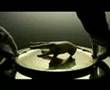 Timbaland-Apologize-