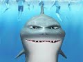 Shark (8 yearold on youtube)