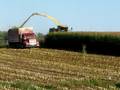 Krone 1000 corn silage