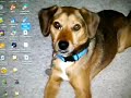 how-to-make-custom-ringtones-for-your-lg-rumor-phone.html