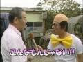 しゃべる犬
