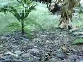 CryENGINE 2.0 CryENGINE 2.0
