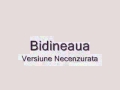 Bidineaua - Necenzurat.mp4
