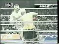 Mirko \"Cro Cop\" Filipovic vs Mark Hunt Mirko \"Cro Cop\" Filipovic vs Mark Hunt