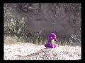 barney getin shot lol barney getin shot lol