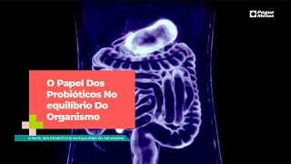 O Papel Dos Probióticos No equilíbrio Do Organismo