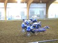 Mini Mayhem Mini Mayhem